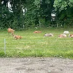 Højmosegård 1 * Varde